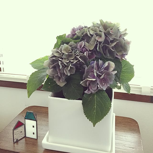 michiさんの実例写真