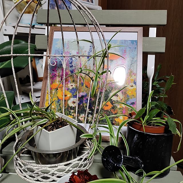 kiraさんの部屋