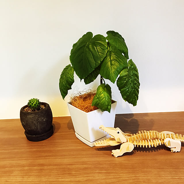 seiさんの実例写真