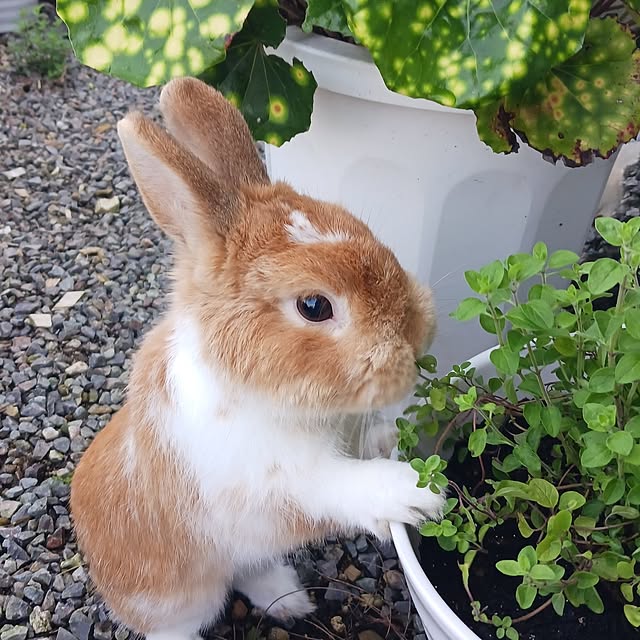 aiさんの実例写真