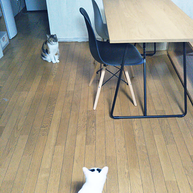 yukieさんの実例写真