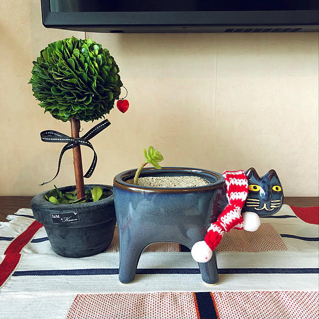 mochi2usagiさんの実例写真