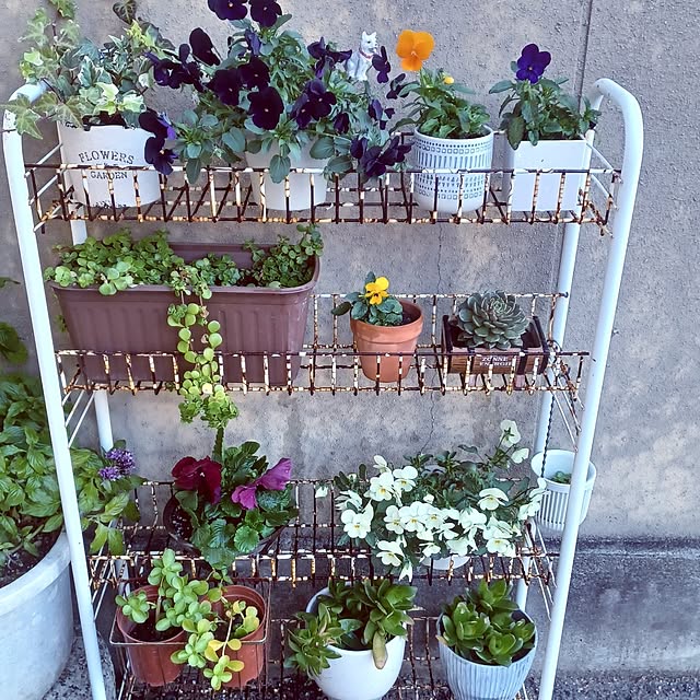 hiro.904さんの実例写真