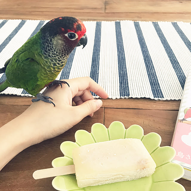 km_home17さんの実例写真