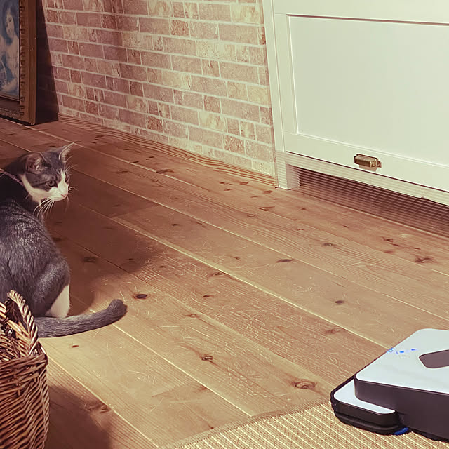 nekosamaさんの実例写真