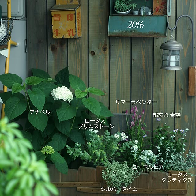 kazafunaさんの実例写真