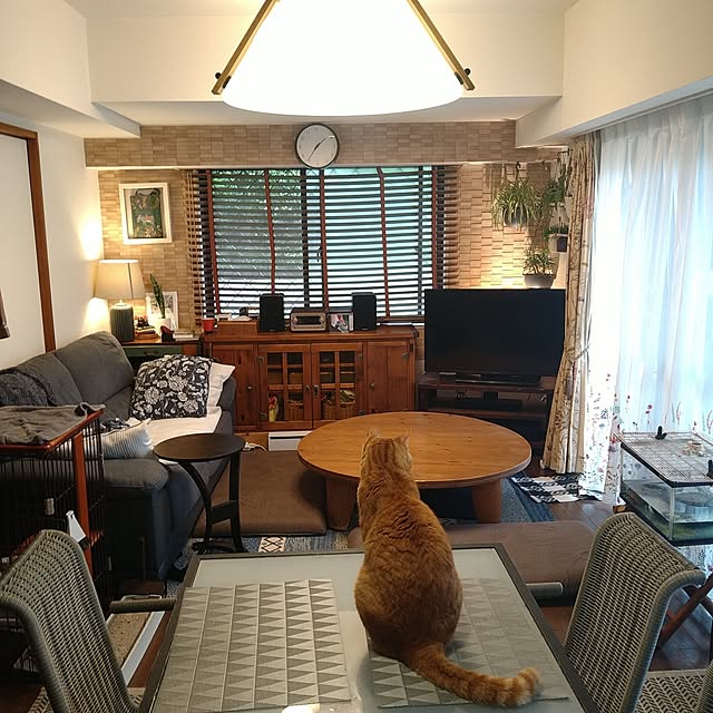 okyosan101さんの実例写真