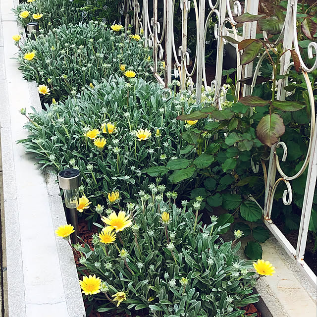 tomoさんの部屋