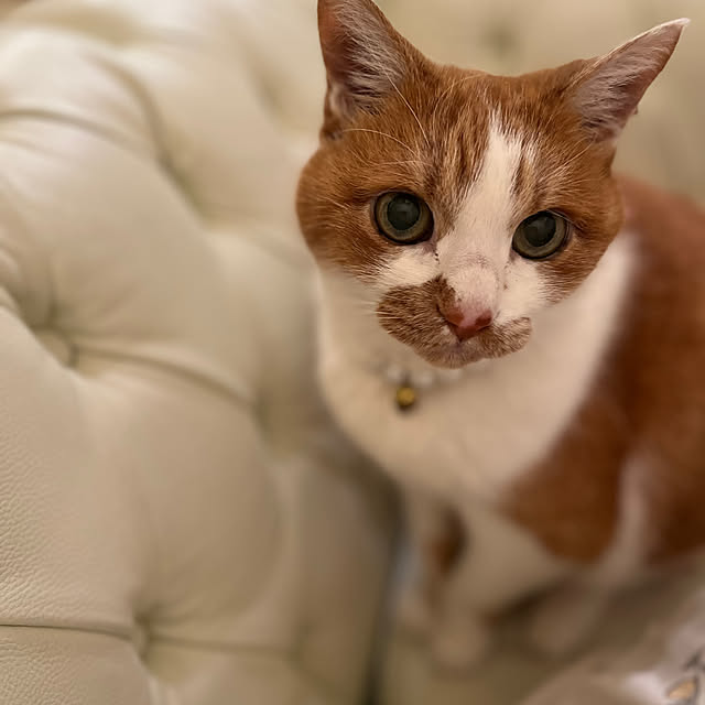 sakuraさんの部屋