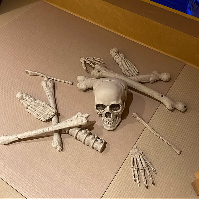 cyborg69さんの実例写真