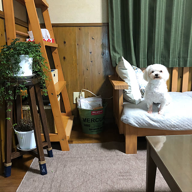 pino1227さんの実例写真
