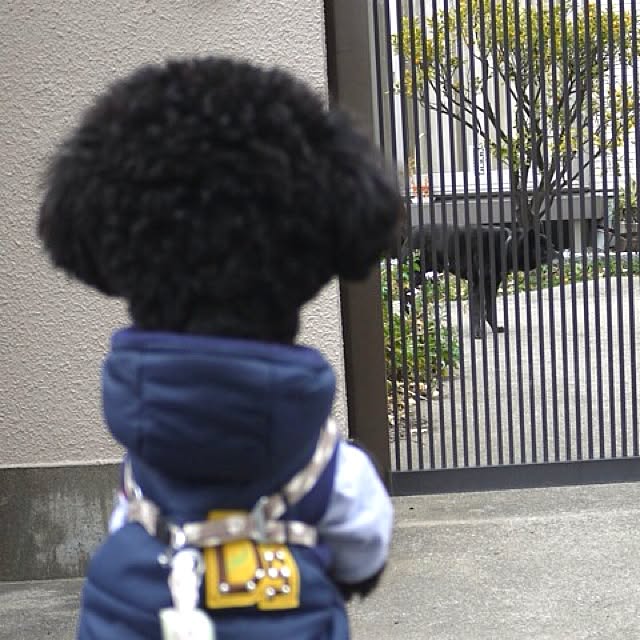 keitanさんの実例写真