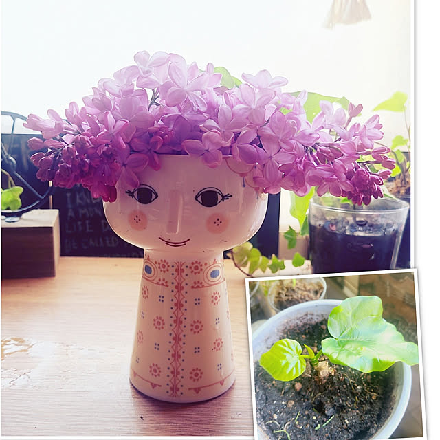monnさんの実例写真