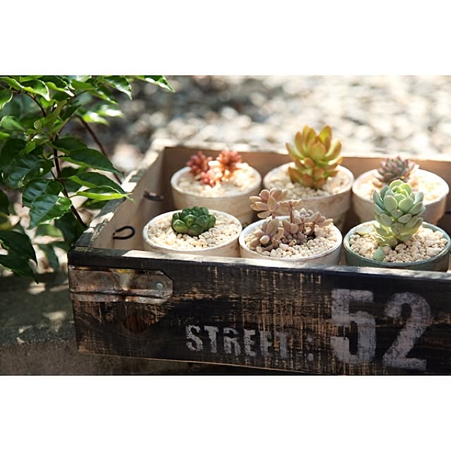 miomonさんの実例写真