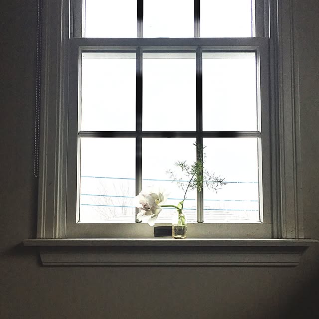 Claraさんの実例写真