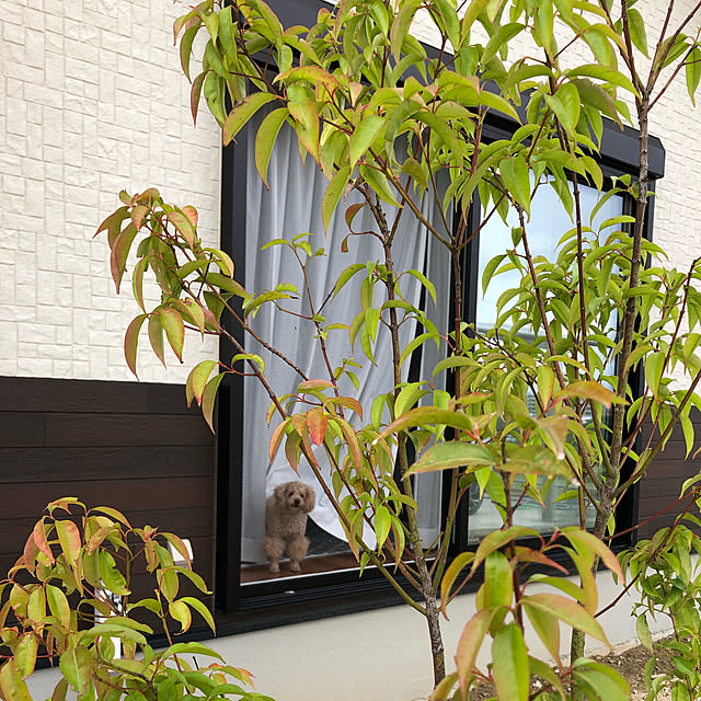 happyさんの実例写真