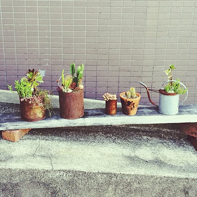 Fellowさんの実例写真