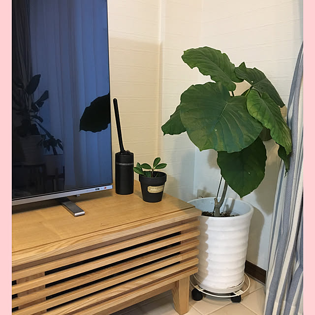 akezouさんの実例写真