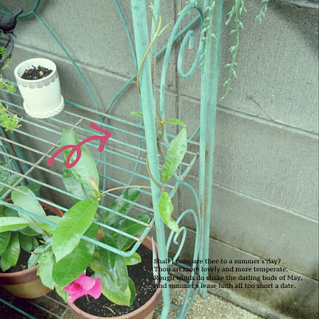 millianさんの実例写真