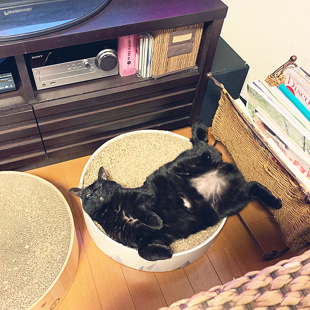 mameazさんの実例写真