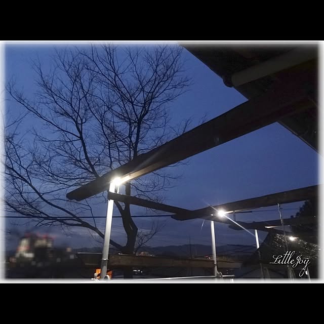littlejoyさんの実例写真