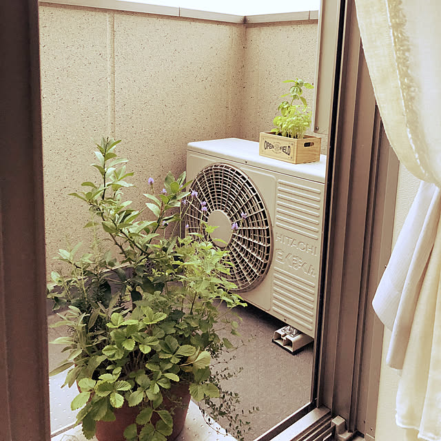 hanaさんの実例写真
