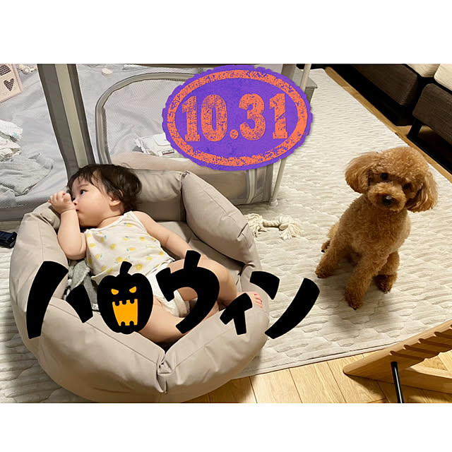 yukichi.wanwaさんの部屋