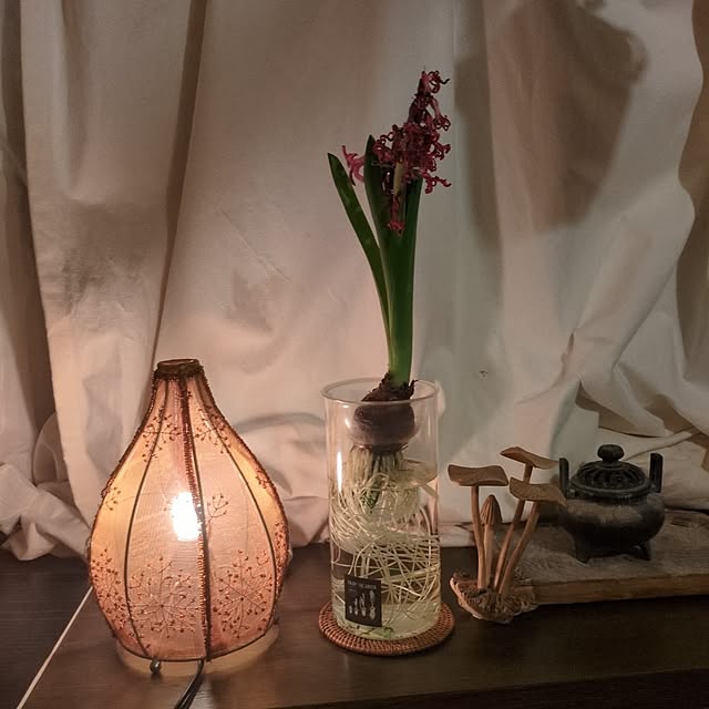 popoさんの実例写真