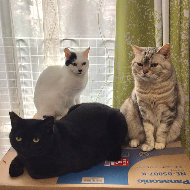 pansanさんの実例写真