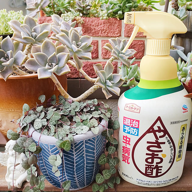 VERANDARJUNさんの実例写真