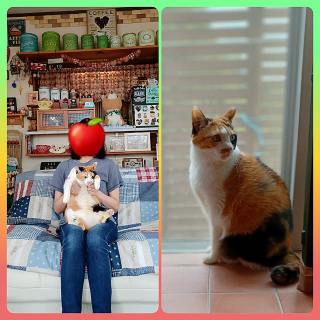 nanaさんの実例写真
