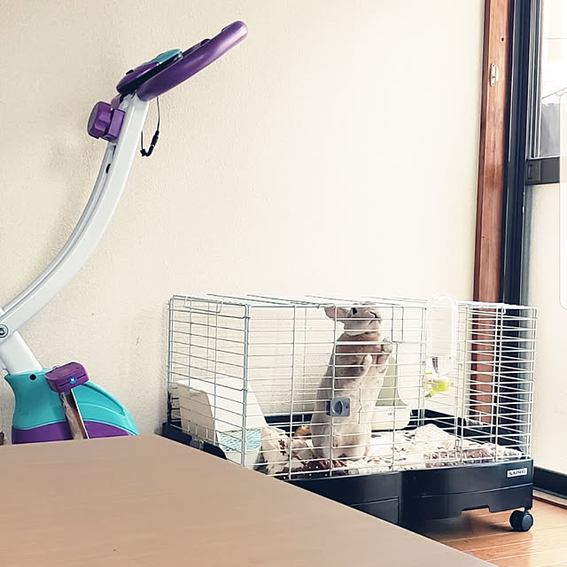 fruityanさんの実例写真