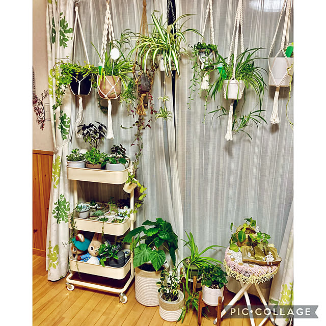 CoCo0617さんの実例写真
