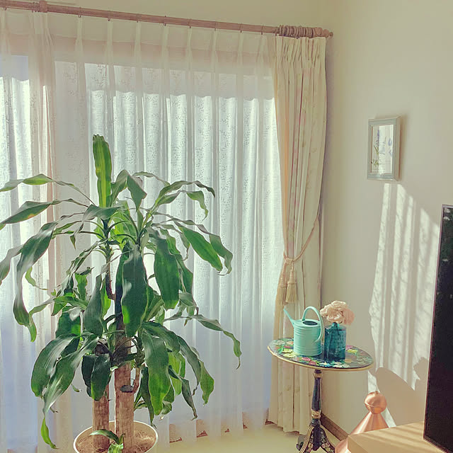 haruminさんの実例写真