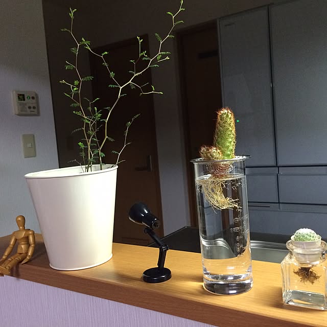 afroさんの実例写真