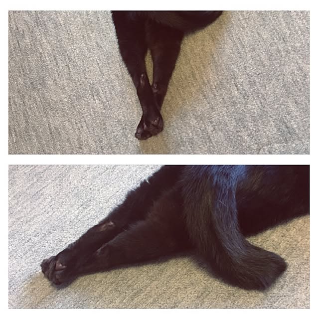shigimiさんの実例写真