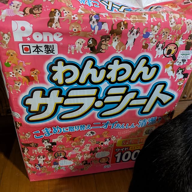 asaさんの部屋