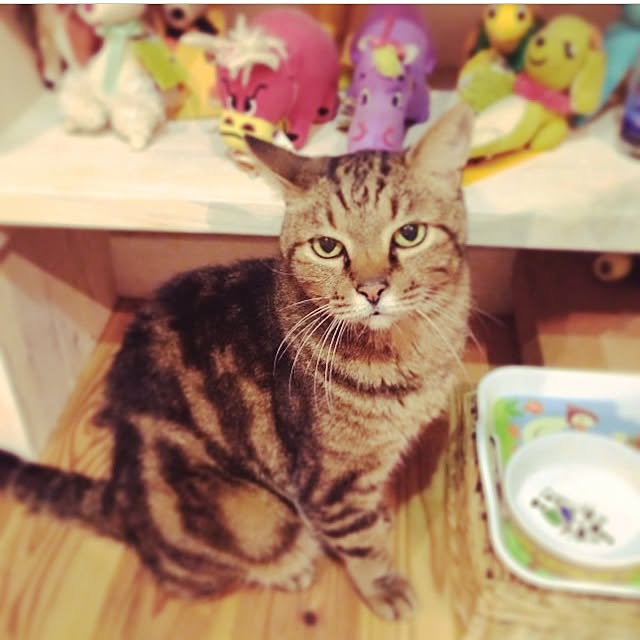 kerakoさんの実例写真