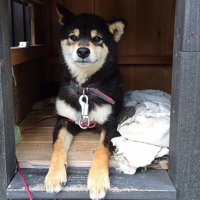 AROIDERSさんの実例写真