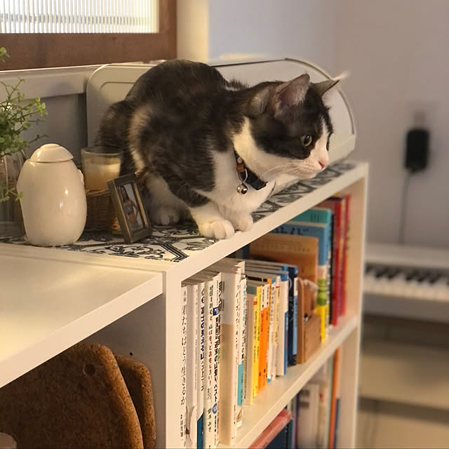 a.f.さんの実例写真
