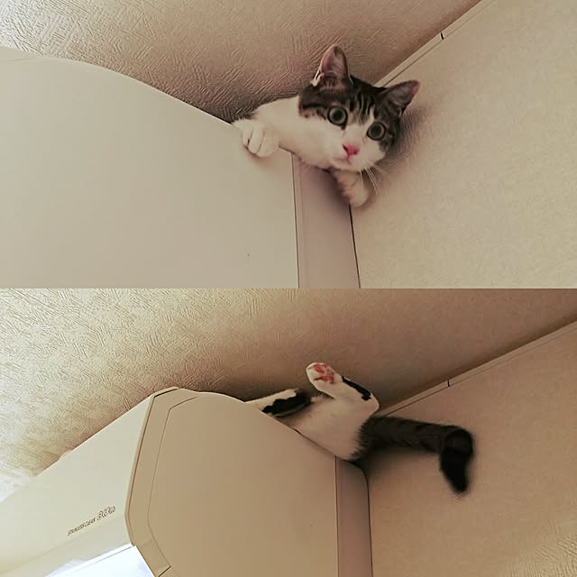 kiraさんの実例写真