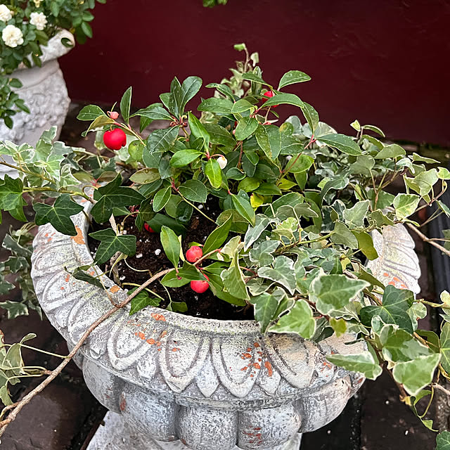 AYUKOさんの実例写真