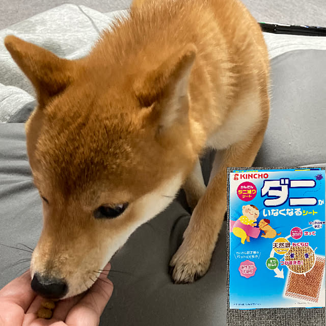 yumomitoさんの実例写真