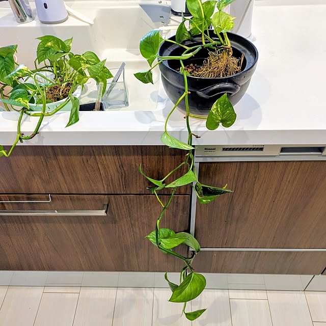 mi-saさんの部屋