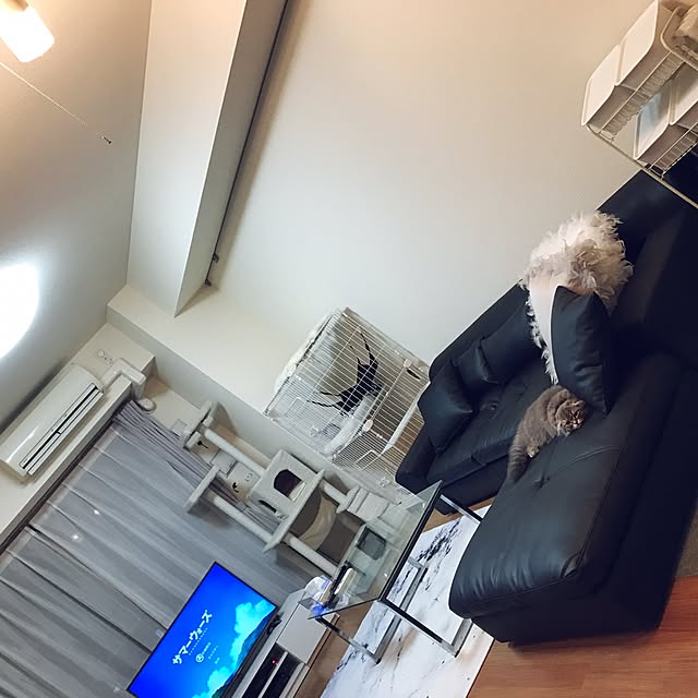 yuiさんの実例写真