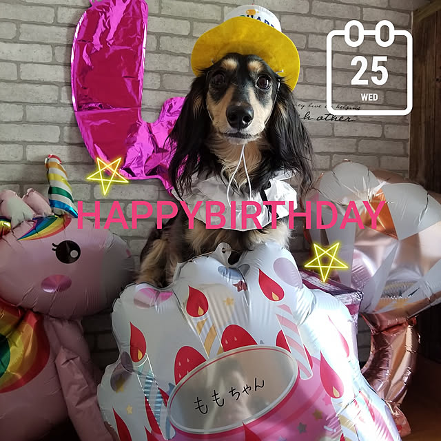 momozouさんの実例写真