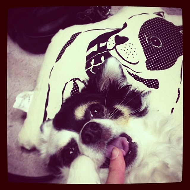 runさんの実例写真