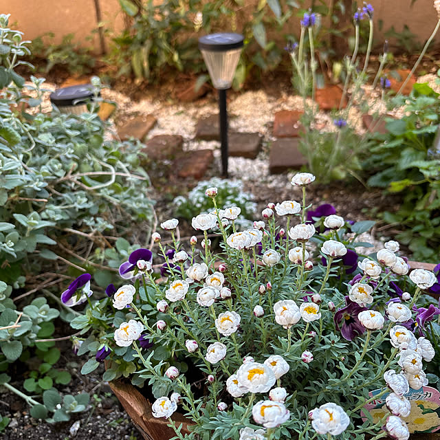 junさんの実例写真