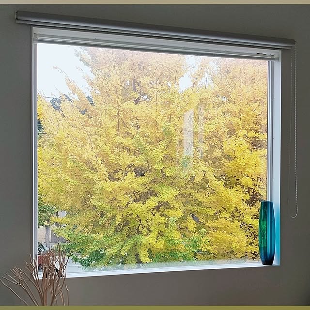 a.co.さんの部屋