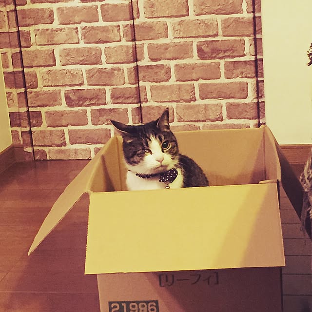 Rettiさんの実例写真